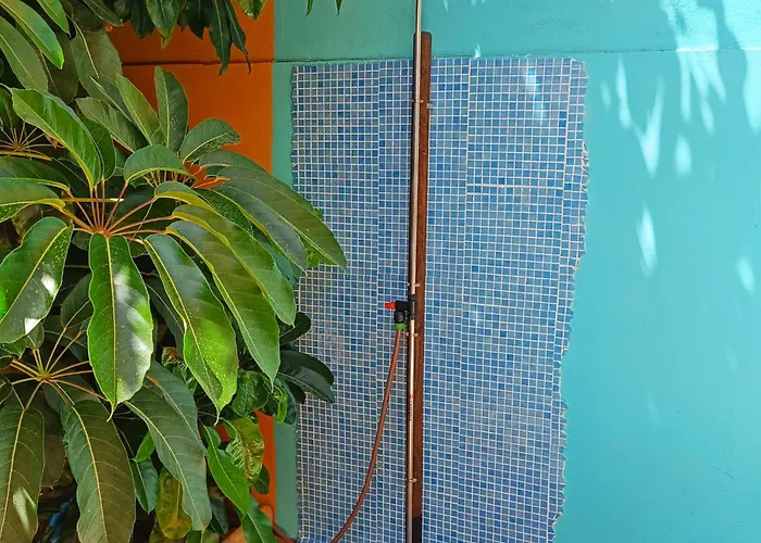 Apartament Casa Golfin *